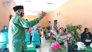 Bangun Kemandirian Pangan Keluarga Melalui Budidaya Sayuran